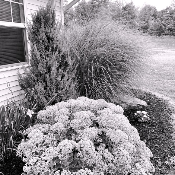 Meet your Posher, Jordan - Picture 1 of 1